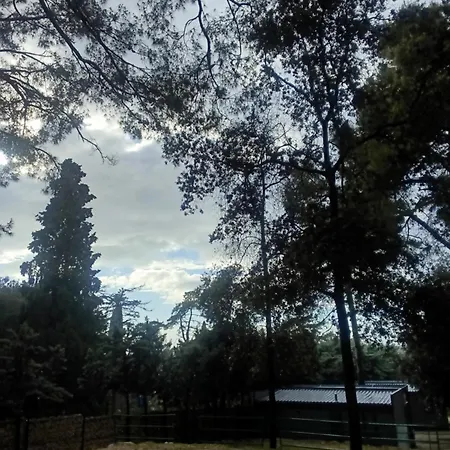 Campsite Mobile Itana Nr 127 *