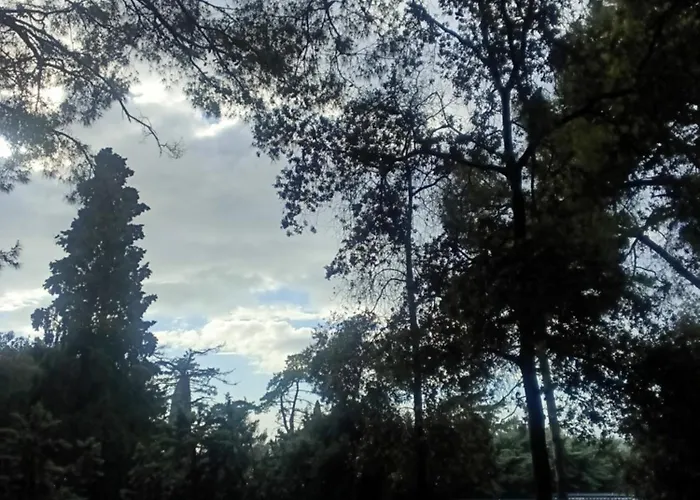 Camping Mobile Itana Nr 127 *